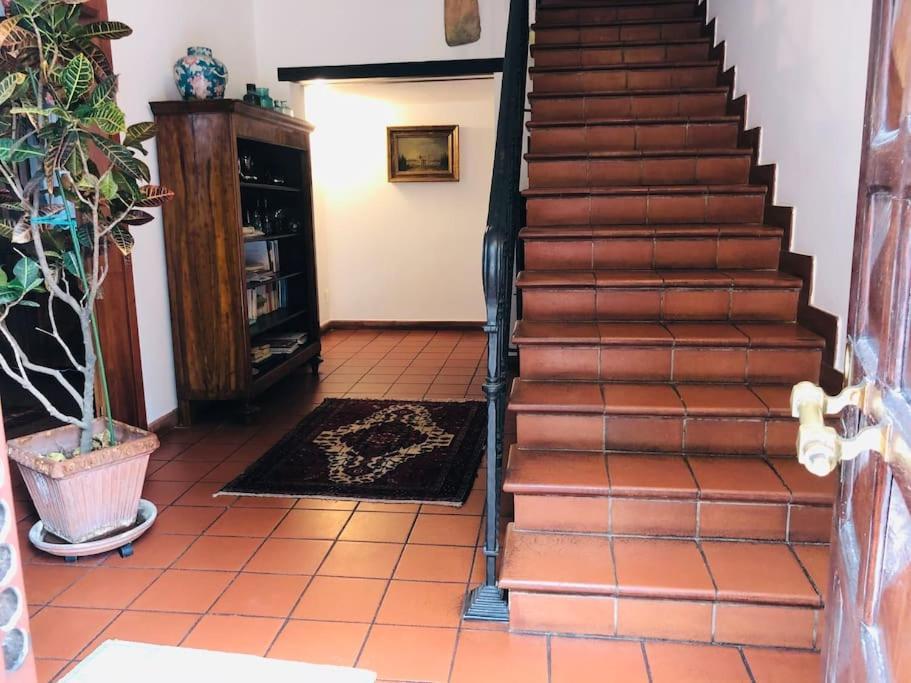费拉拉 La Casa Di Marina酒店 外观 照片