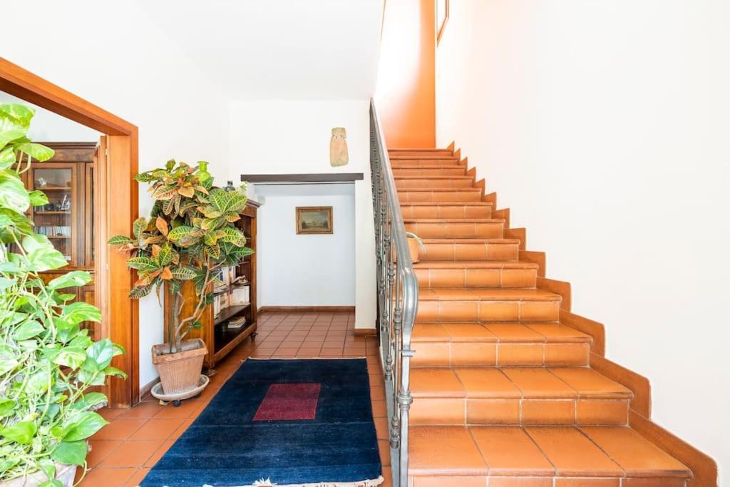费拉拉 La Casa Di Marina酒店 外观 照片